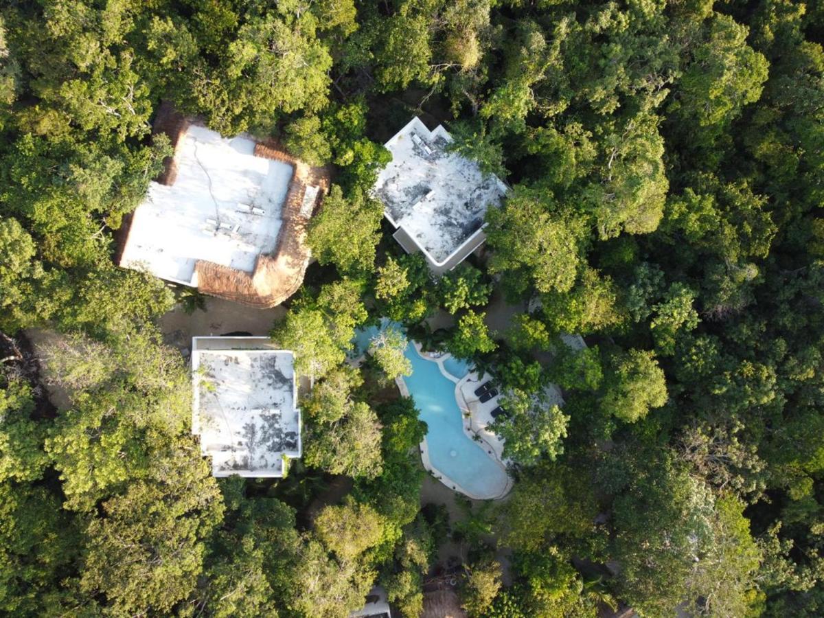 Cachito De Cielo Luxury Jungle Lodge Тулум Екстериор снимка